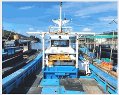  2025Ÿ��21993  ���ڰ��