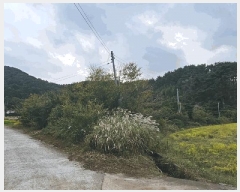  2025Ÿ��22031 �泲 ������ ���θ� ��縮 1277-3      ����(��)���