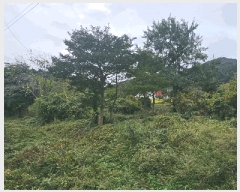  2025Ÿ��22031 �泲 ������ ���θ� ��縮 1277-3      ����(��)���