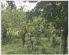  2025Ÿ��22031 �泲 ������ ���θ� ��縮 1277-3      ����(��)���