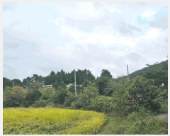  2025Ÿ��22031 �泲 ������ ���θ� ��縮 1277-3      ����(��)���