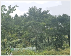  2025Ÿ��22031 �泲 ������ ���θ� ��縮 1277-3      ����(��)���