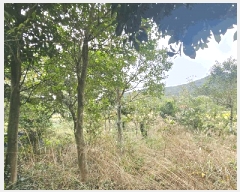  2025Ÿ��22031 �泲 ������ ���θ� ��縮 1277-3      ����(��)���