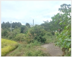  2025Ÿ��22031 �泲 ������ ���θ� ��縮 1277-3      ����(��)���