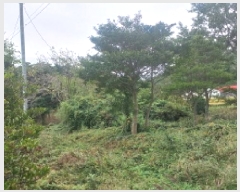  2025Ÿ��22031 �泲 ������ ���θ� ��縮 1277-3      ����(��)���