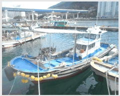  2025Ÿ��22335 �泲 ������ ���� ������ ������      ���ڰ��