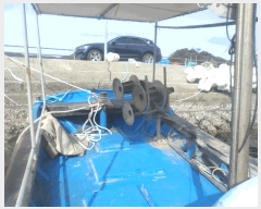  2025Ÿ��22335 �泲 ������ ���� ������ ������      ���ڰ��