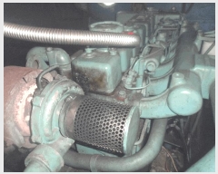  2025Ÿ��22335 �泲 ������ ���� ������ ������      ���ڰ��