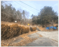  2025Ÿ��114 �泲 �뿵�� ����� ���긮 281-3      ����(��1)���