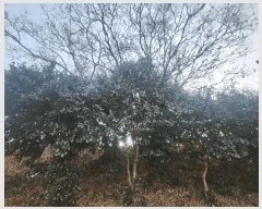  2025Ÿ��114 �泲 �뿵�� ����� ���긮 281-3      ����(��1)���