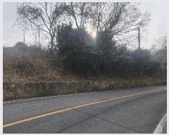  2025Ÿ��114 �泲 �뿵�� ����� ���긮 281-3      ����(��1)���