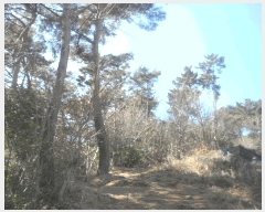  2025Ÿ��206  �Ӿ߰��