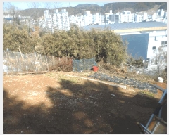  2025Ÿ��206  �Ӿ߰��