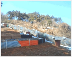  2025Ÿ��206  �Ӿ߰��