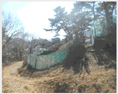  2025Ÿ��206  �Ӿ߰��