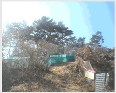  2025Ÿ��206  �Ӿ߰��