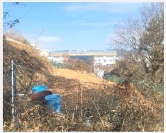  2025Ÿ��206  �Ӿ߰��