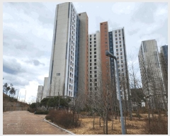  2025Ÿ392 泲   긮 1515 ũ 110 4404ȣ   Ʈ