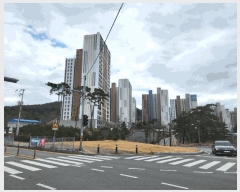  2025Ÿ392 泲   긮 1515 ũ 110 4404ȣ   Ʈ