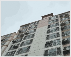  2025Ÿ418 泲    1224-1 Ʈ 105 131304ȣ   Ʈ