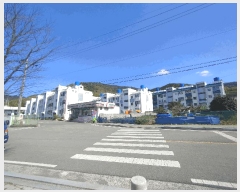  2025Ÿ433 泲  û û 349  210ȣ    ټ,