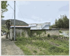  2025Ÿ��441  ���ð��