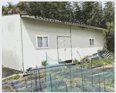  2025Ÿ��441  ���ð��