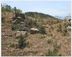  2025Ÿ��450 �泲 ������ ���� âȣ�� 1212-2      ����(��1)���