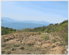  2025Ÿ��450 �泲 ������ ���� âȣ�� 1212-2      ����(��1)���