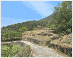  2025Ÿ��450 �泲 ������ ���� âȣ�� 1212-2      ����(��1)���