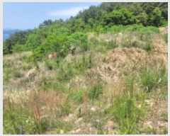  2025Ÿ��450 �泲 ������ ���� âȣ�� 1212-2      ����(��1)���