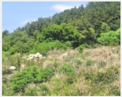  2025Ÿ��450 �泲 ������ ���� âȣ�� 1212-2      ����(��1)���