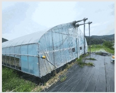  2025Ÿ��481 �泲 ������ ��õ�� ��õ�� 970-1      ����(��)���