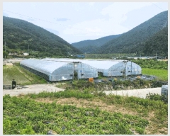  2025Ÿ��481 �泲 ������ ��õ�� ��õ�� 970-1      ����(��)���