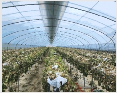  2025Ÿ��481 �泲 ������ ��õ�� ��õ�� 970-1      ����(��)���