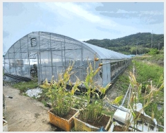  2025Ÿ��481 �泲 ������ ��õ�� ��õ�� 970-1      ����(��)���