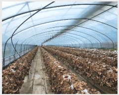  2025Ÿ��481 �泲 ������ ��õ�� ��õ�� 970-1      ����(��)���