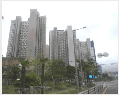  2025Ÿ��545 �泲 ������ ������ 1102 �����Ѽ���������ξ��Ϸ��� 101�� 20��2003ȣ    ����Ʈ���