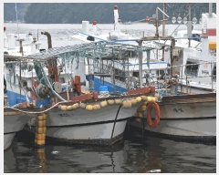  2025Ÿ��561 ���ظ� ������         ���ڰ��