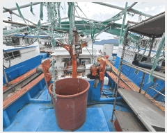  2025Ÿ��561 ���ظ� ������         ���ڰ��