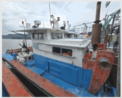  2025Ÿ��561 ���ظ� ������         ���ڰ��