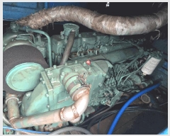  2025Ÿ��561 ���ظ� ������         ���ڰ��