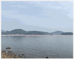  2025Ÿ��577  ����ǰ��