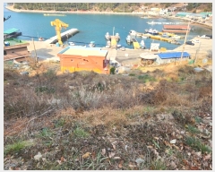  2025Ÿ20088 泲  θ 踮 871-2      (1)