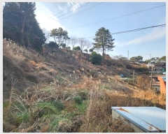  2025Ÿ20088 泲  θ 踮 871-2      (1)