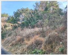  2025Ÿ20088 泲  θ 踮 871-2      (1)