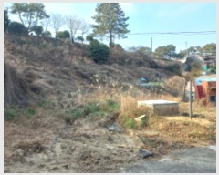  2025Ÿ20088 泲  θ 踮 871-2      (1)