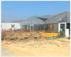  2025Ÿ20408 泲    659-1      ܵ,ð