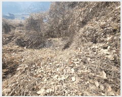  2025Ÿ20484 泲  û  597-3      (Ӿ)