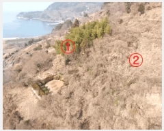  2025Ÿ20484 泲  û  597-3      (Ӿ)